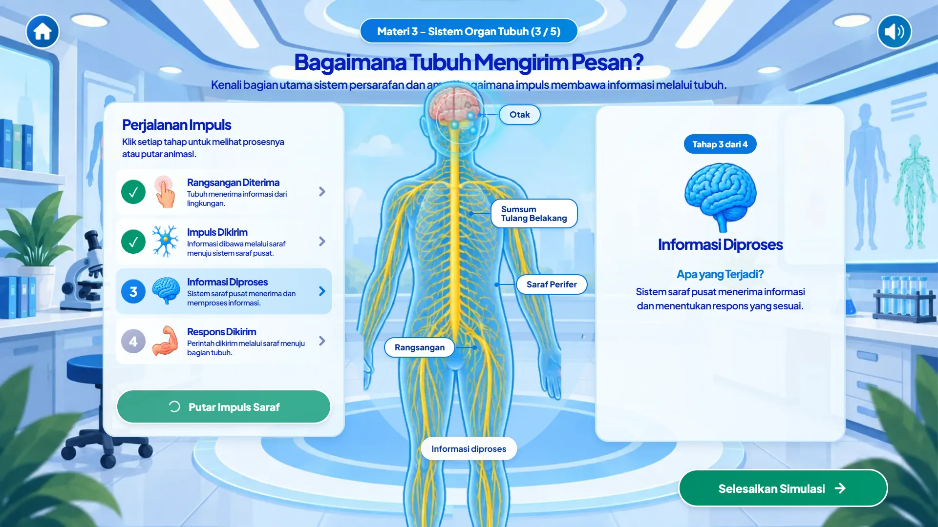 AnatoQuest - Human Body Explorer, screenshot 4 of 8